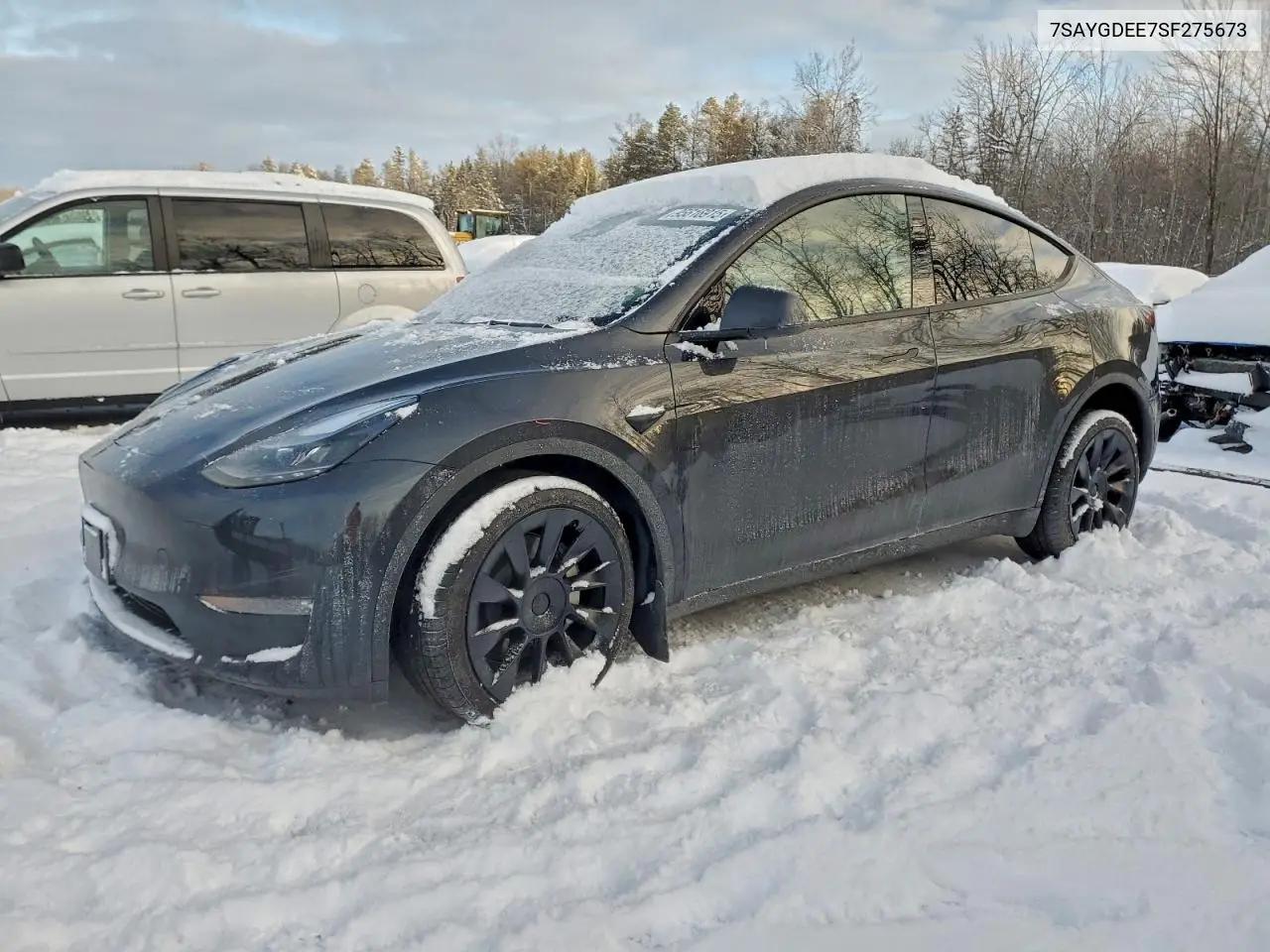 Tesla Model Y 2025
