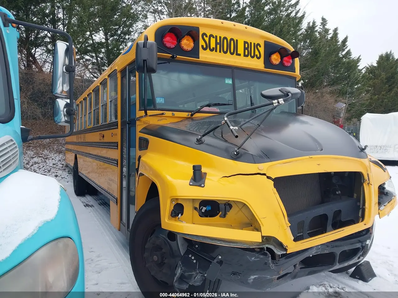 Blue Bird School Bus / Transit Bus 2023