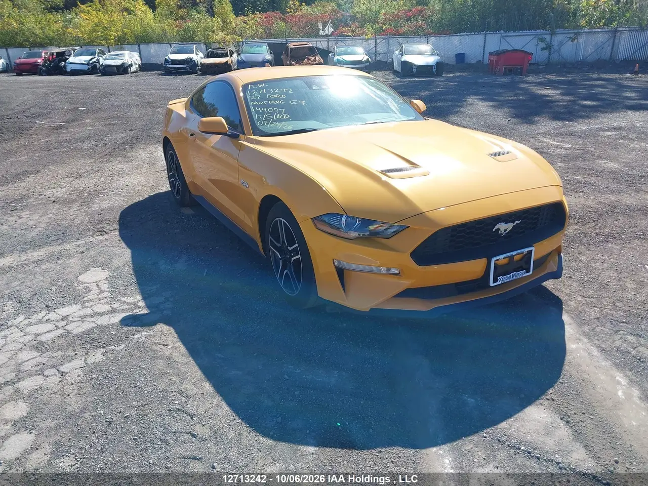 Ford Mustang Gt 2022