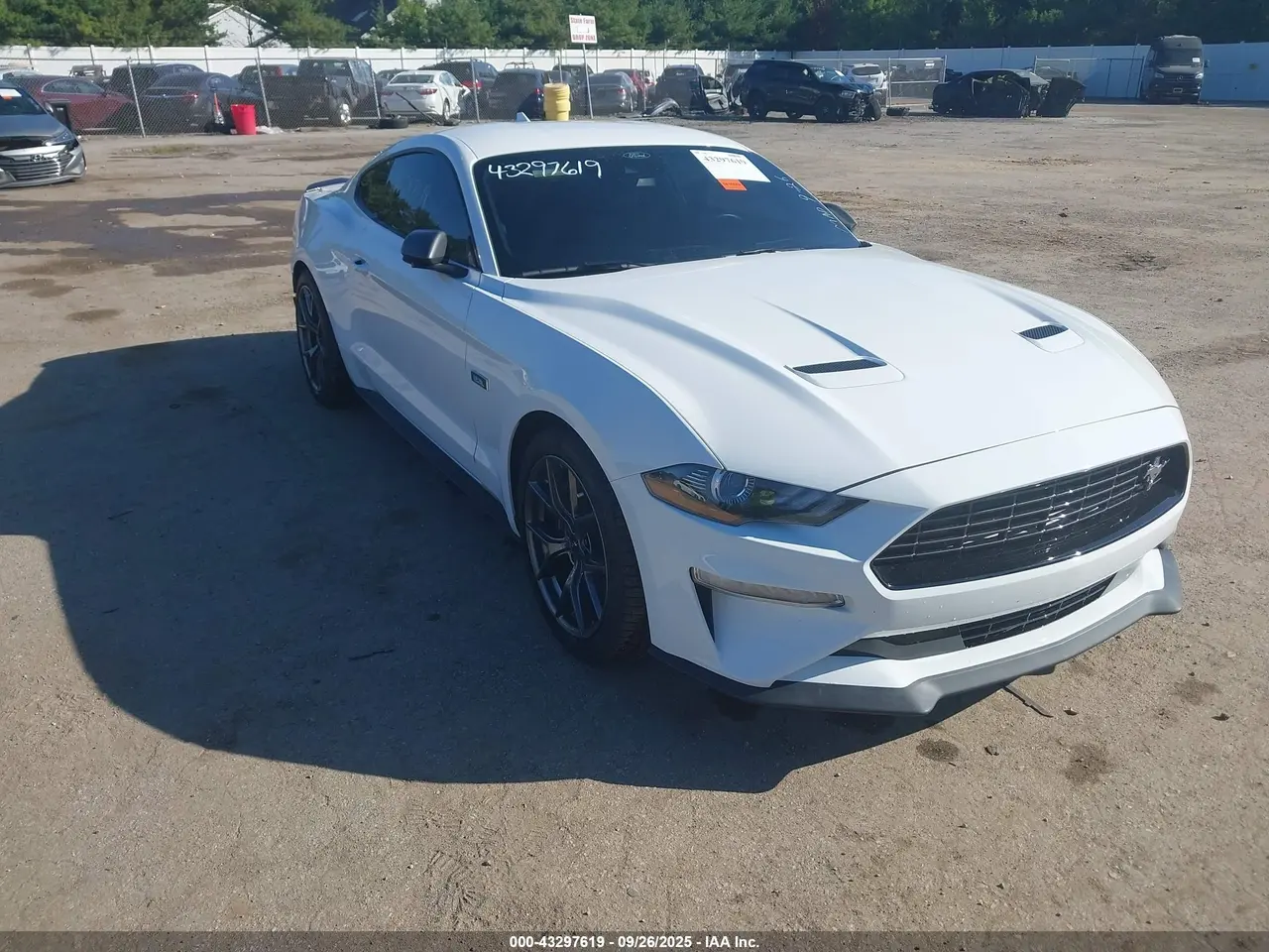 Ford Mustang Ecoboost Fastback 2022