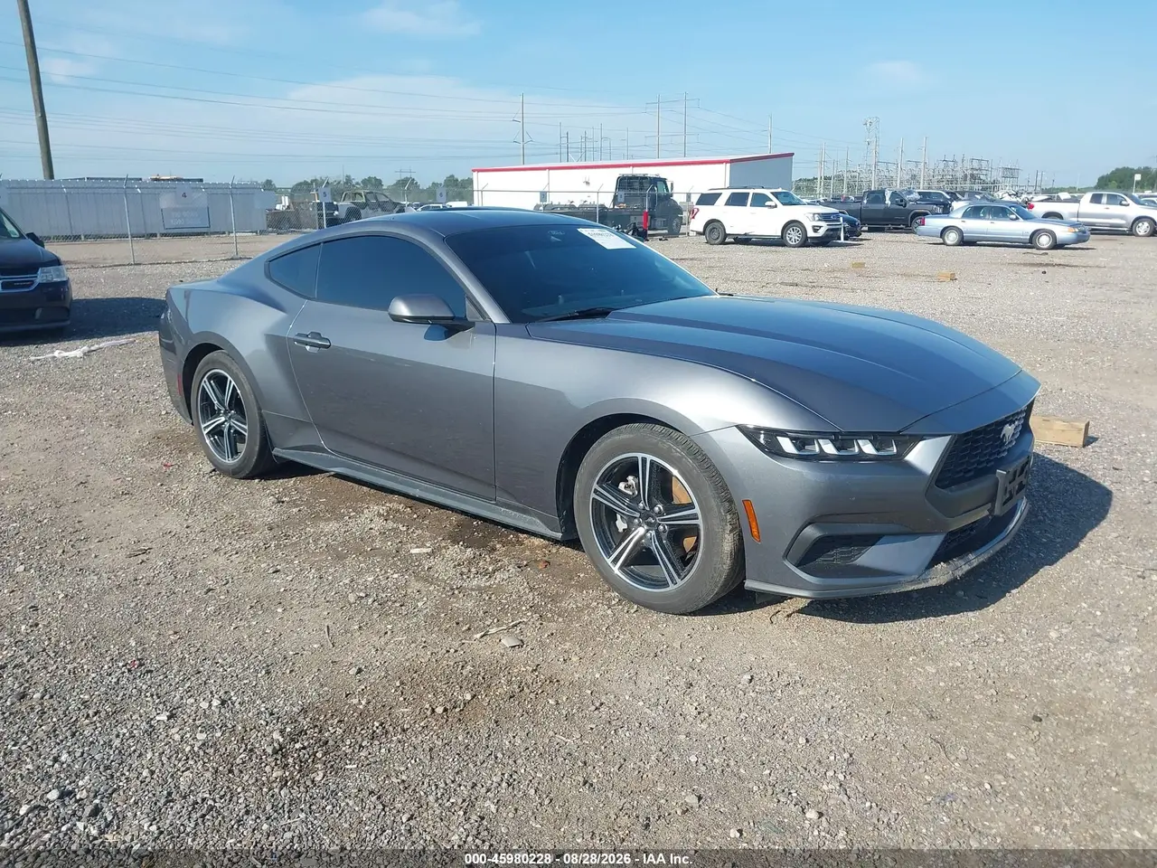 Ford Mustang Ecoboost Fastback 2024