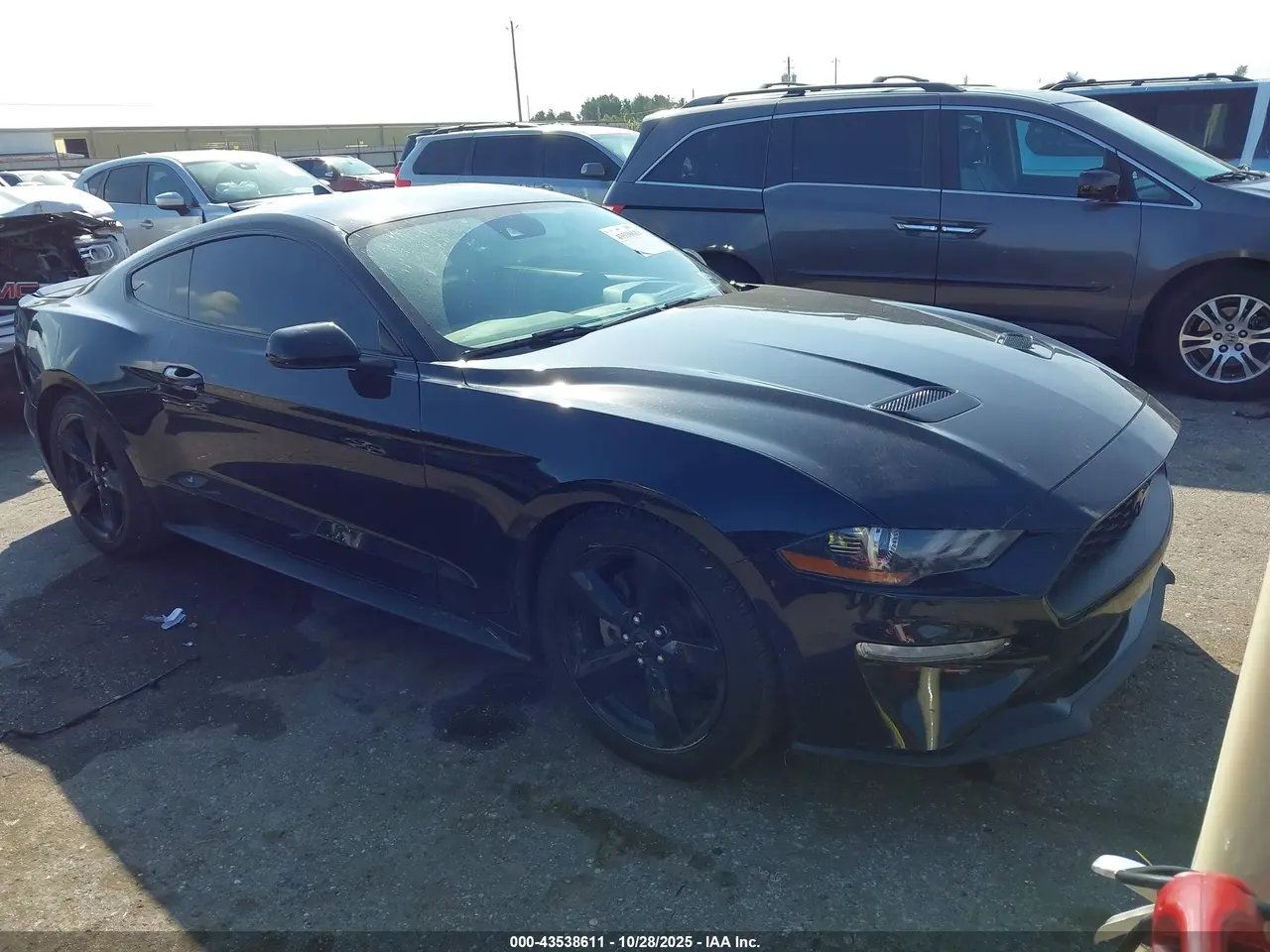 Ford Mustang Ecoboost Fastback 2021