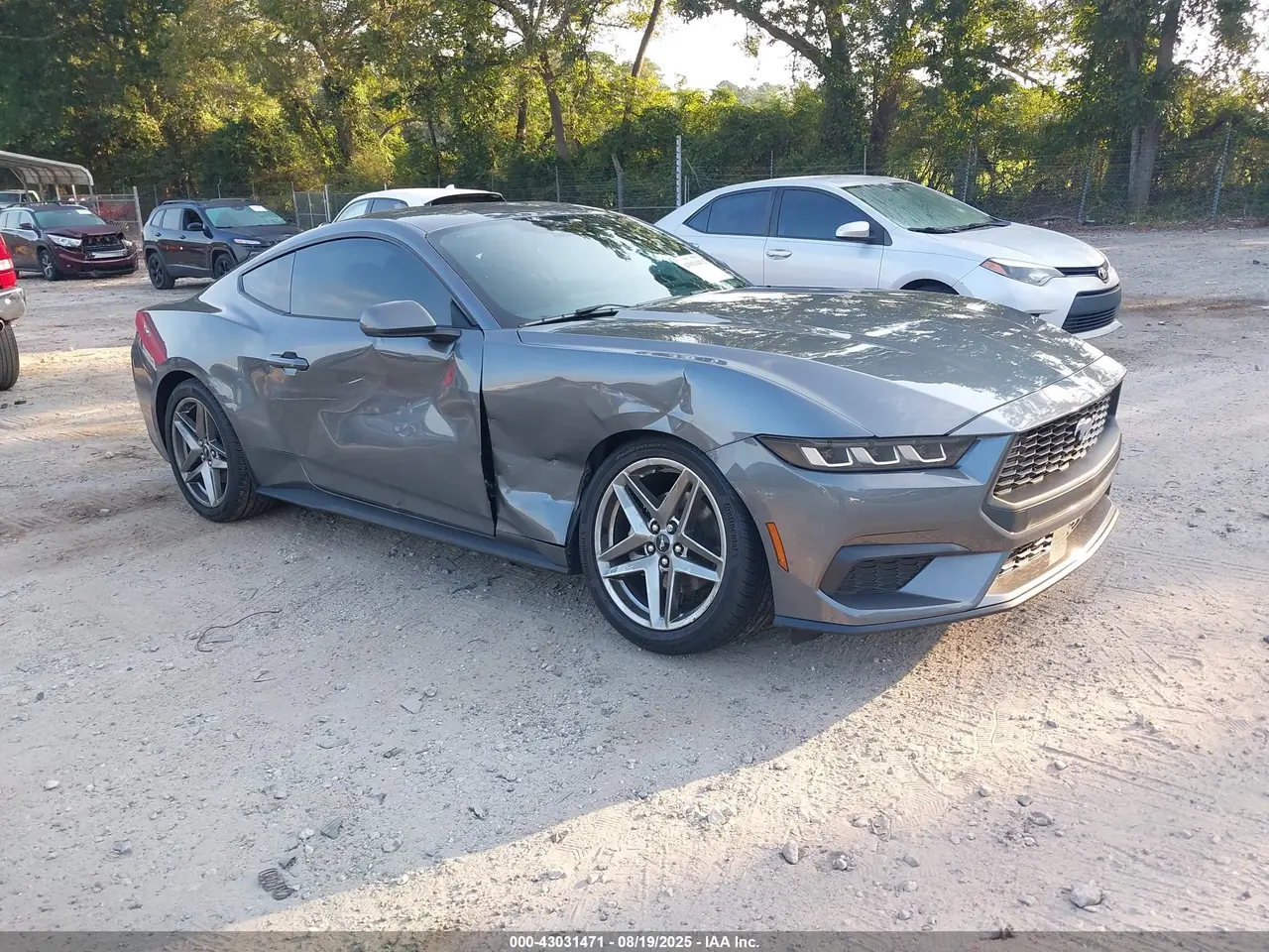 Ford Mustang Ecoboost Fastback 2025