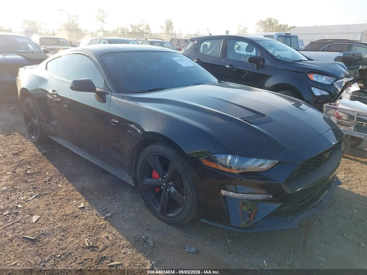Ford Mustang Ecoboost Fastback 2022