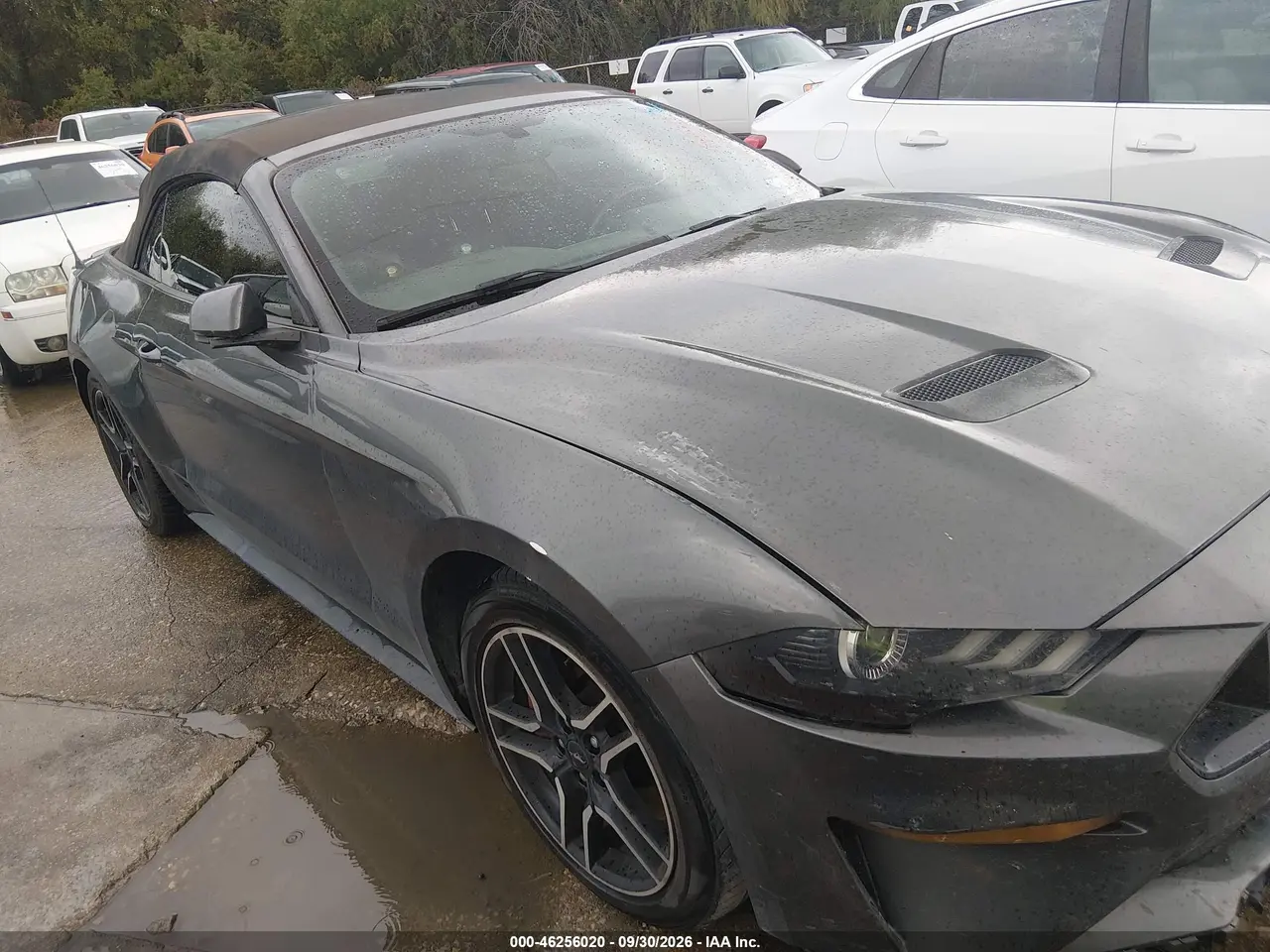 Ford Mustang Gt Premium 2018