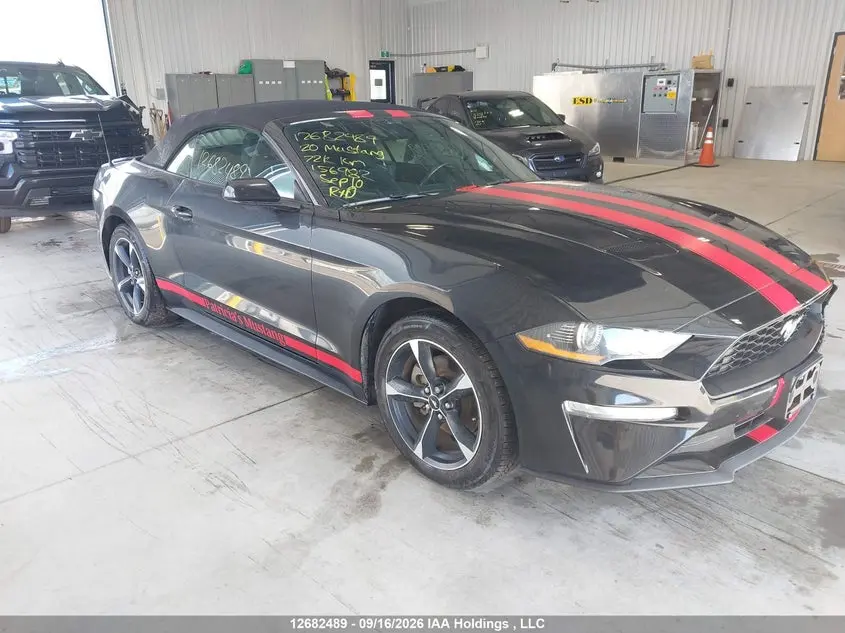 Ford Mustang 2020