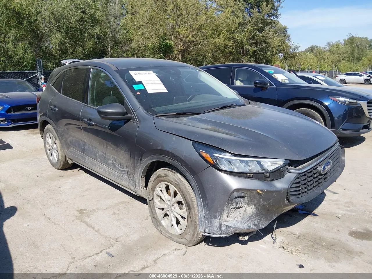 Ford Escape Active 2024