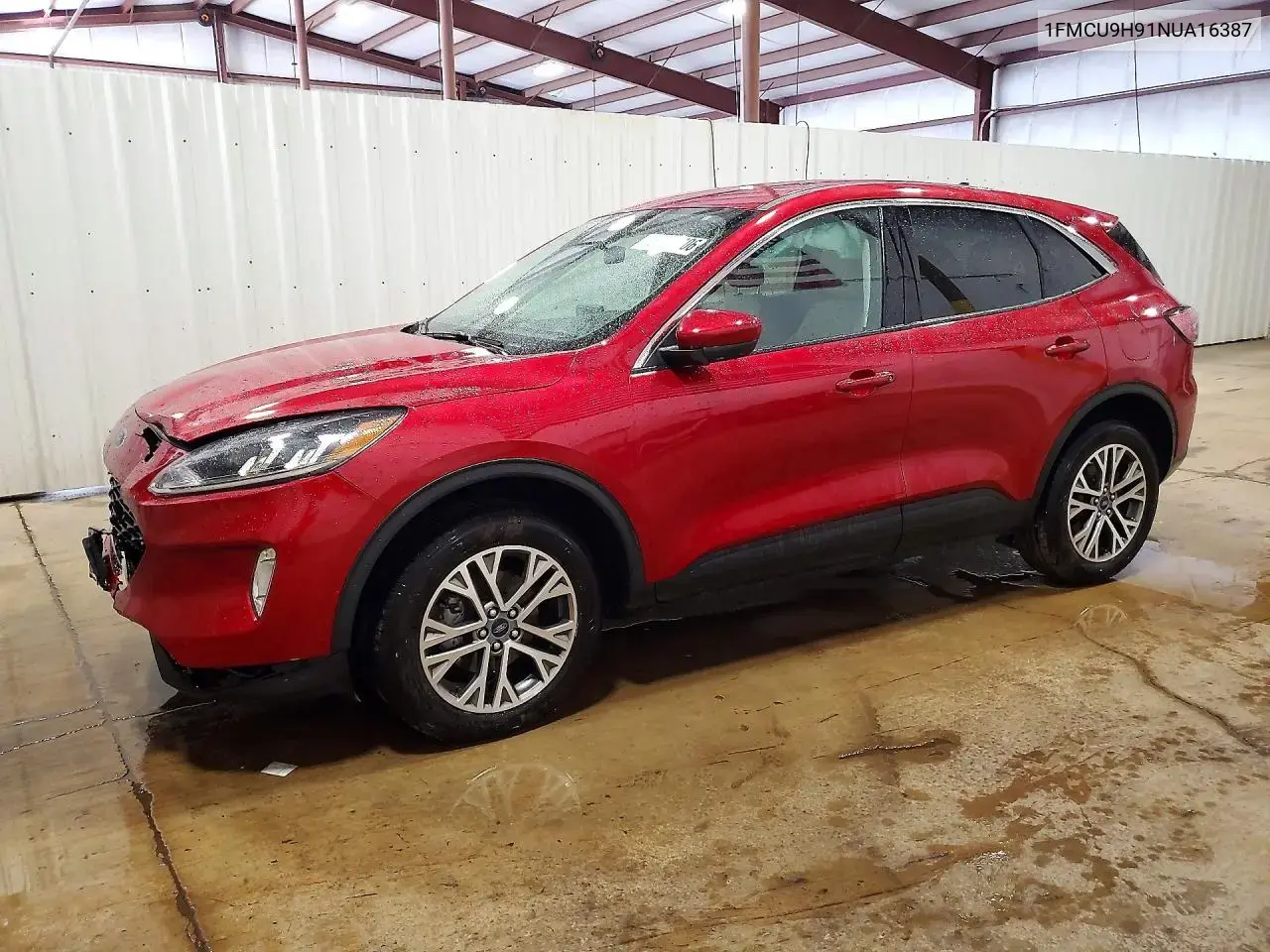 Ford Escape Sel 2022