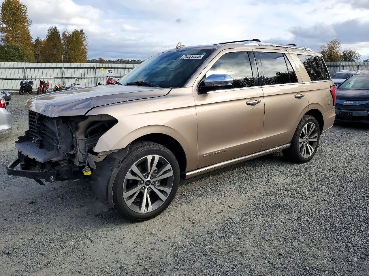 Ford Expedition Platinum 2020