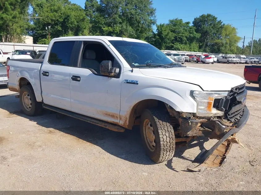 Ford F-150 Xl 2019
