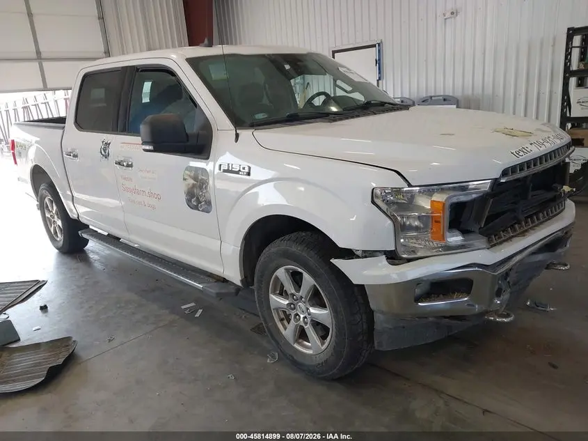 Ford F-150 Xlt 2019