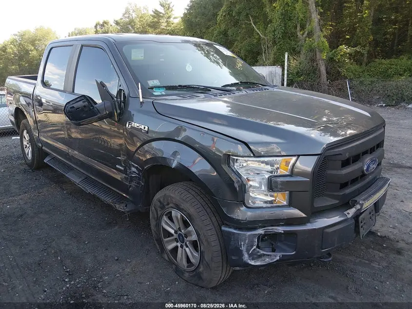 Ford F-150 Xl 2015
