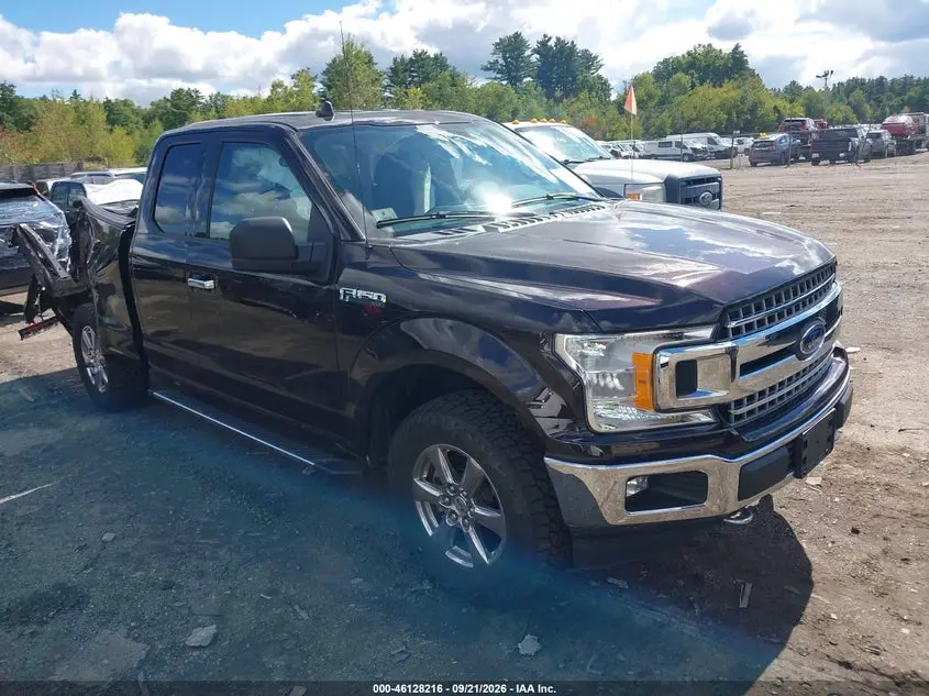 Ford F-150 Xlt 2019