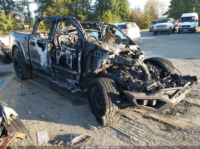 Ford F-150 Raptor 2017