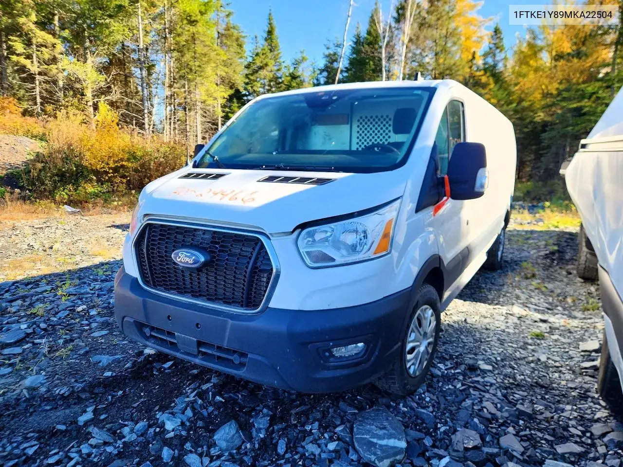 Ford Transit T-150 2021