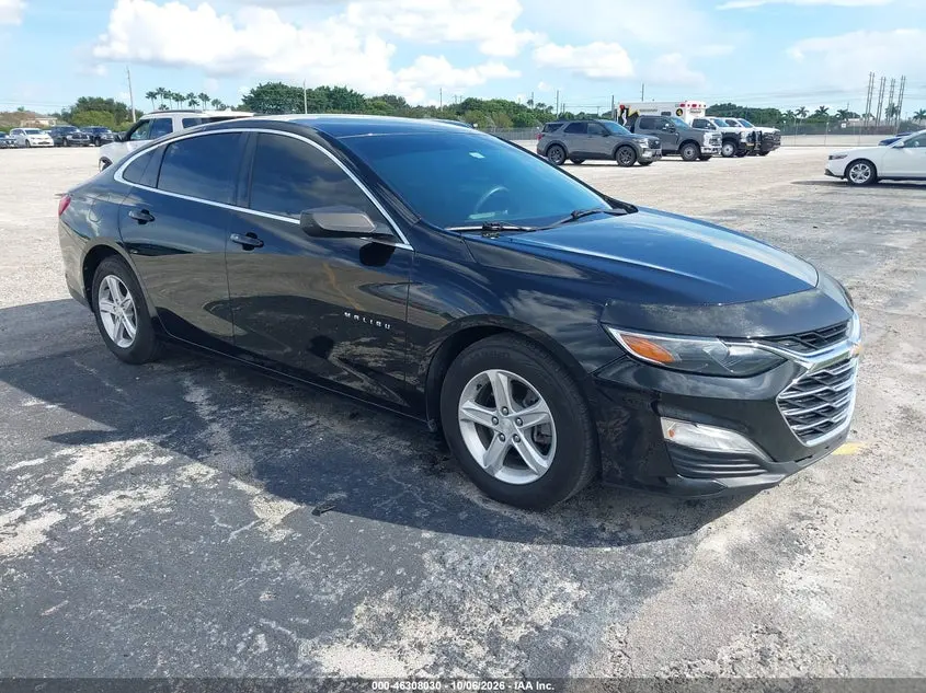 Chevrolet Malibu 1Fl 2019