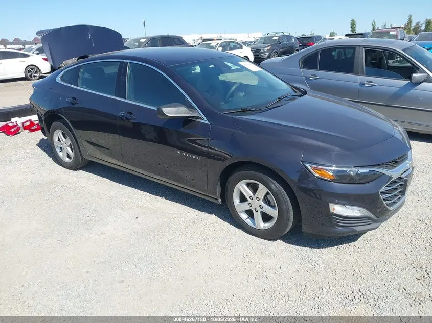 Chevrolet Malibu Fwd 1Fl 2023