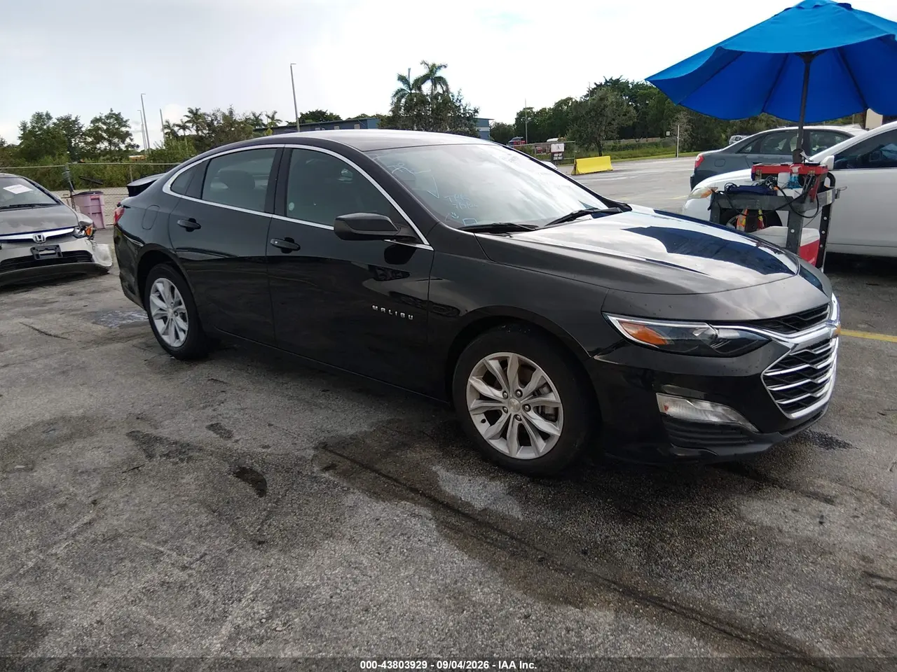 Chevrolet Malibu Fwd 1Lt 2024