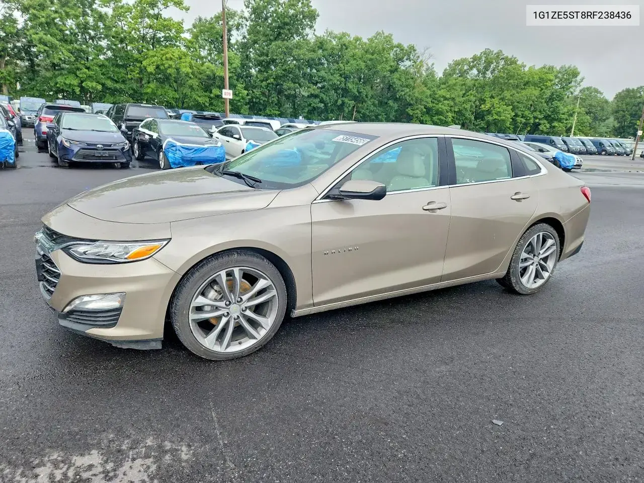 Chevrolet Malibu Premier 2024