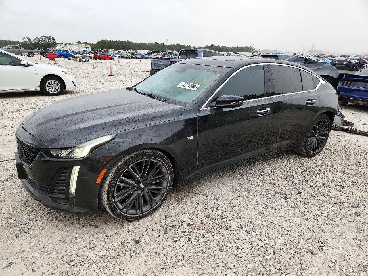 Cadillac Ct5 Premium Luxury 2024
