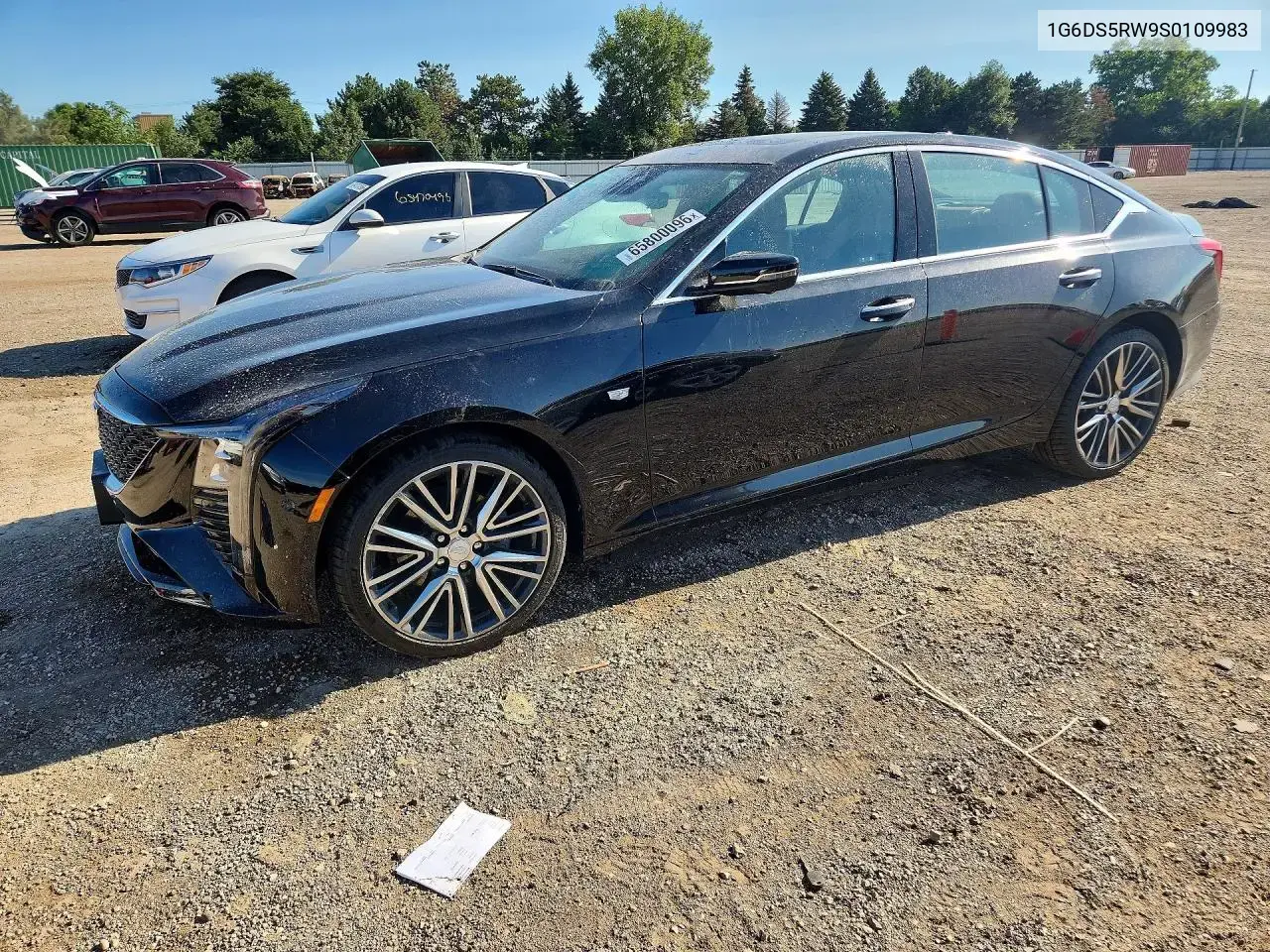 Cadillac Ct5 Premium Luxury 2025