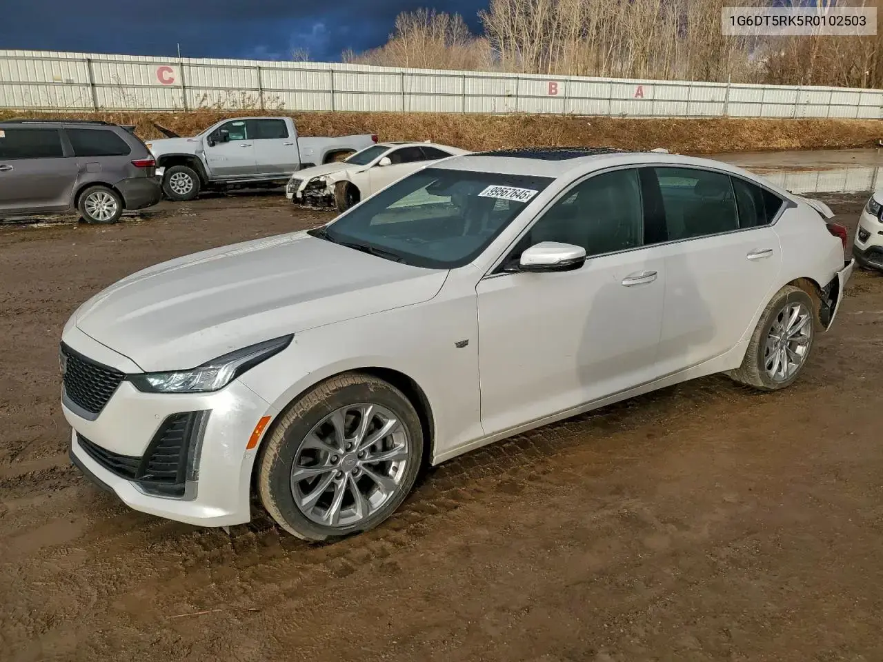 Cadillac Ct5 Premium Luxury 2024