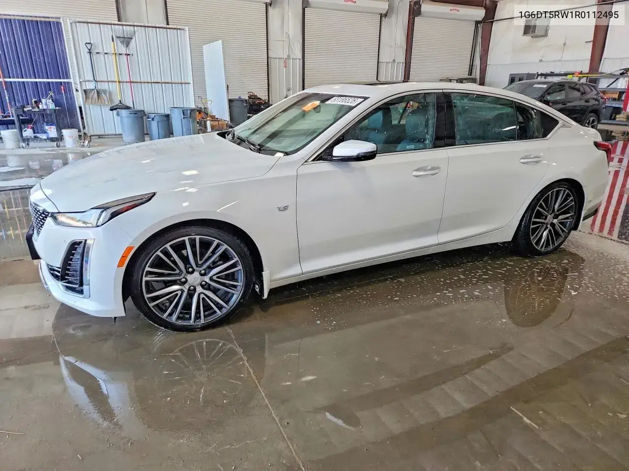 Cadillac Ct5 Premium Luxury 2024
