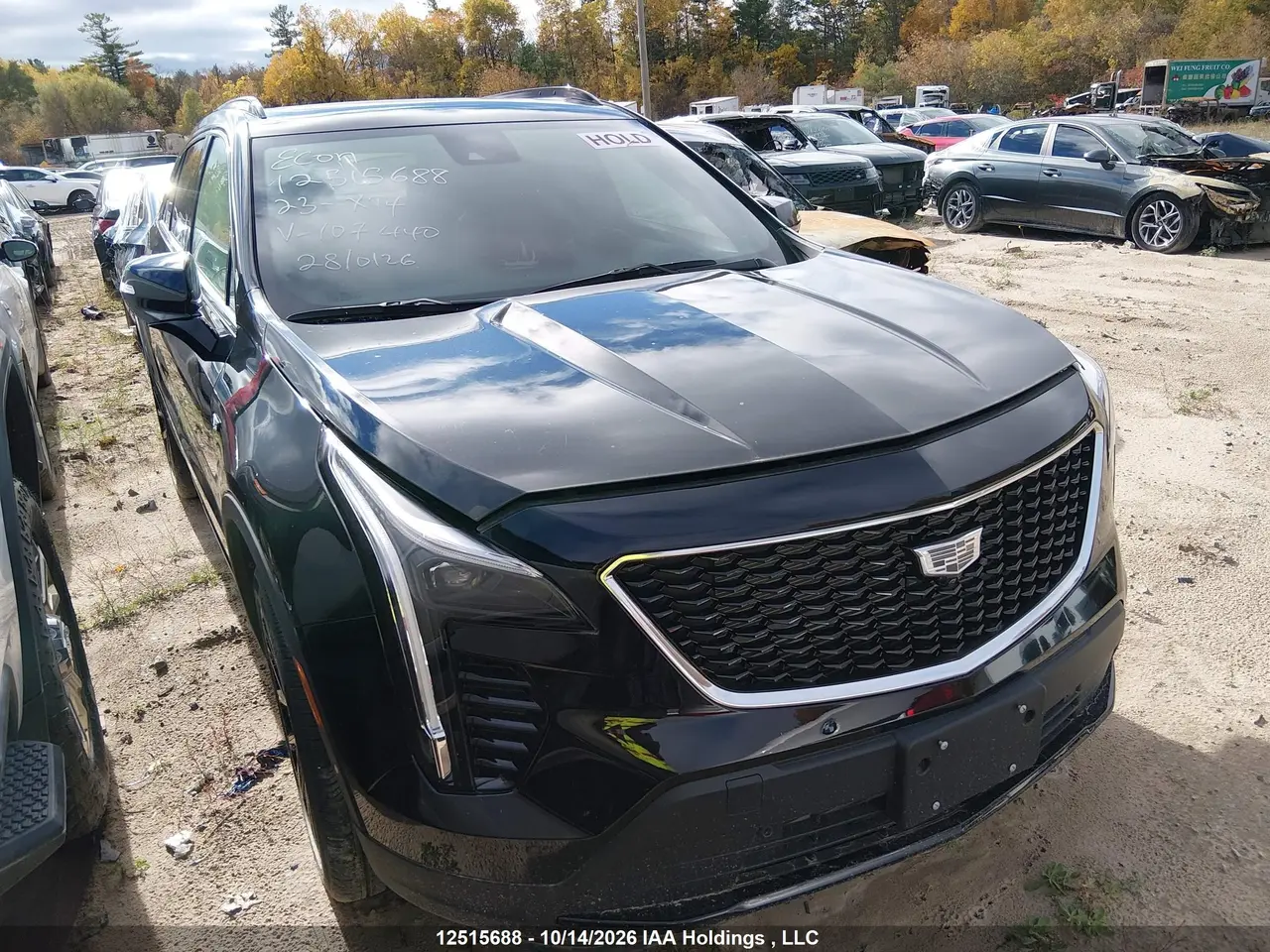 Cadillac Xt4 Sport 2023