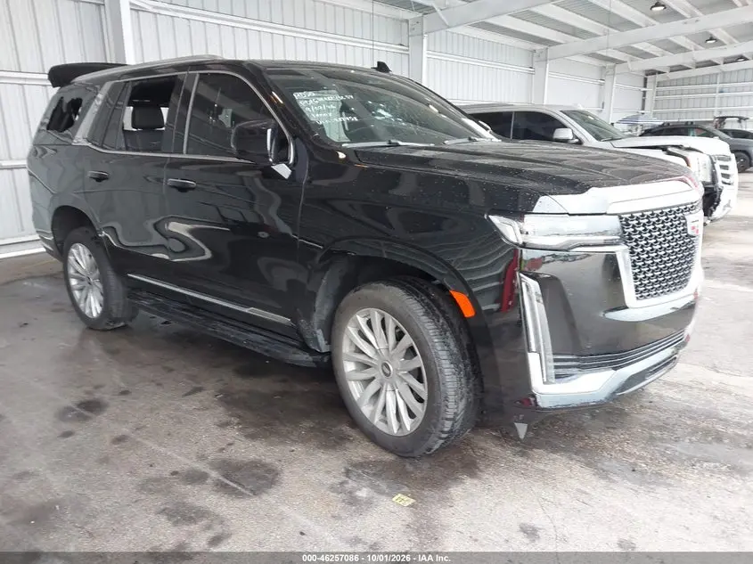 Cadillac Escalade 2Wd Luxury 2024