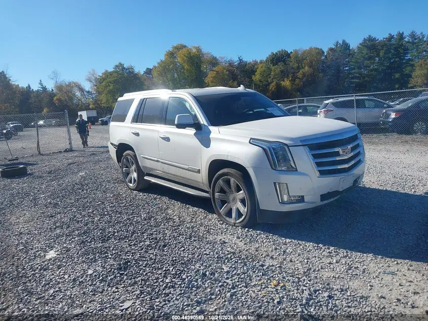 Cadillac Escalade Luxury 2019