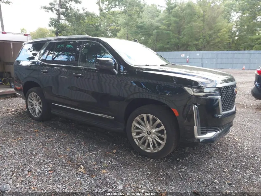 Cadillac Escalade 4Wd Premium Luxury 2024