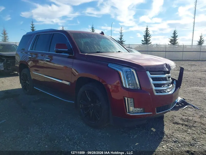 Cadillac Escalade Platinum 2016