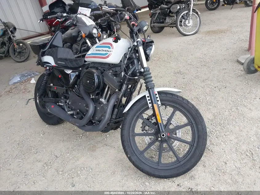Harley-Davidson Xl1200 Ns 2021