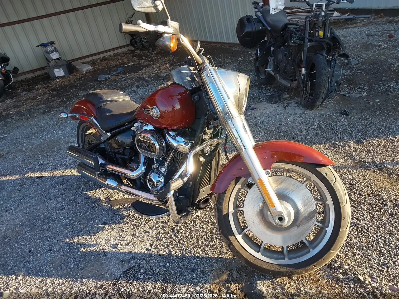 Harley-Davidson Flfbs 2024