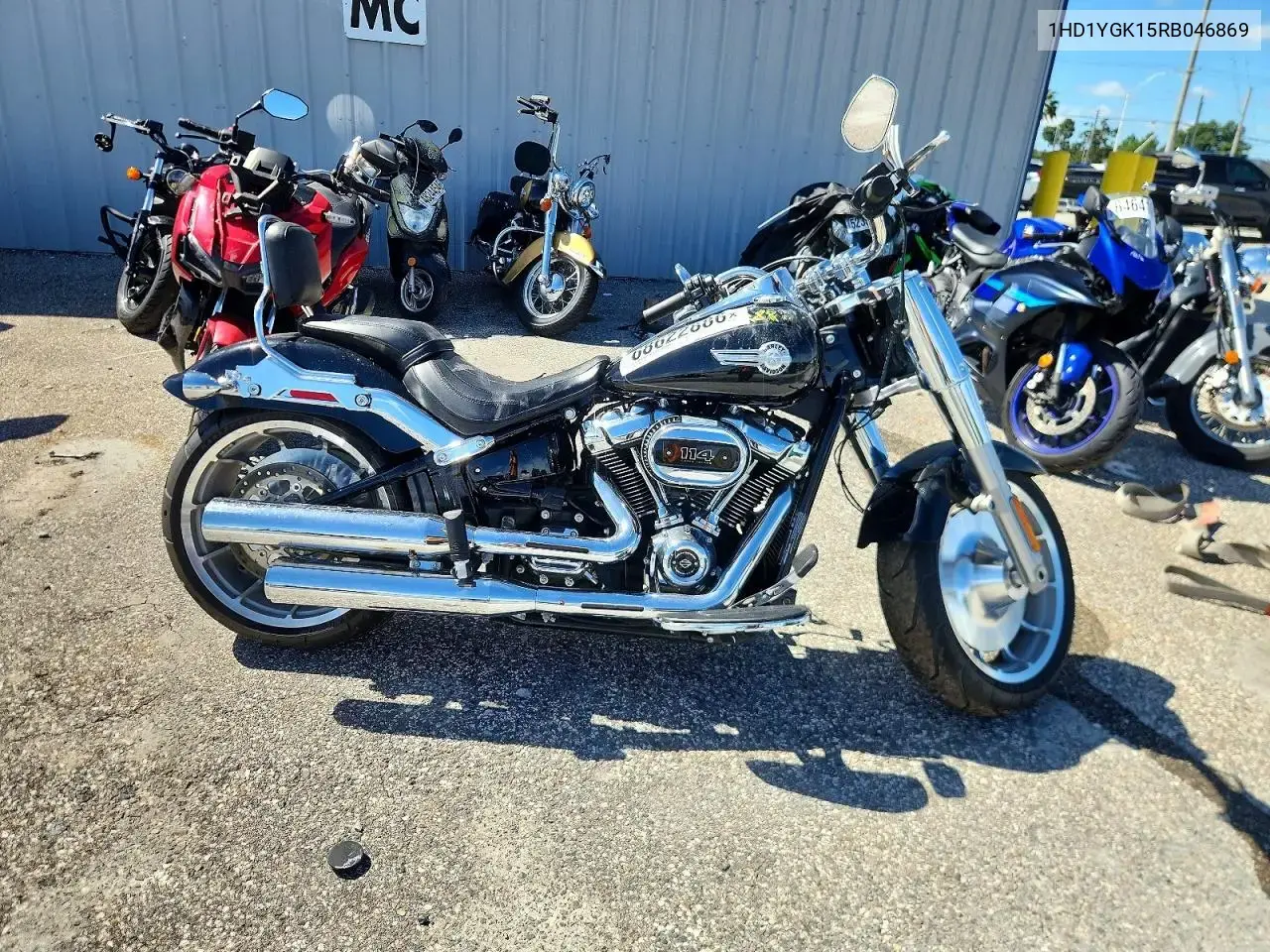 Harley-Davidson Flfbs 2024