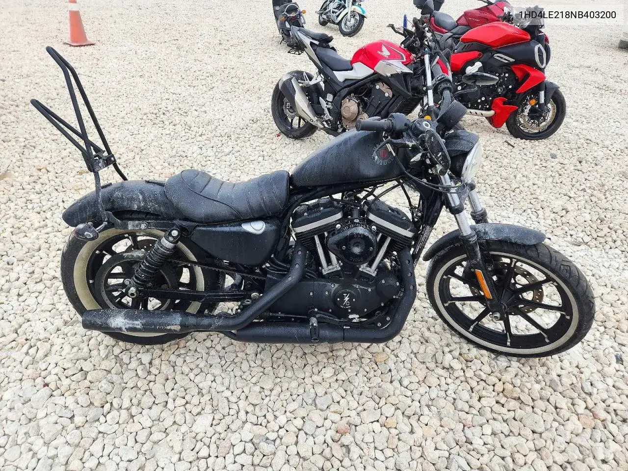 Harley-Davidson Xl883 N 2022