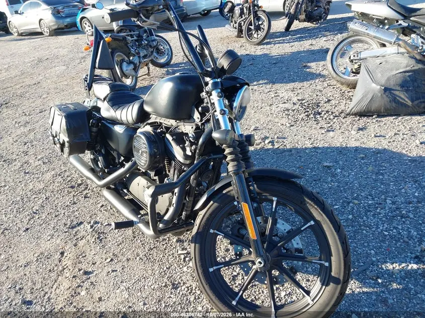 Harley-Davidson Xl883 N 2019