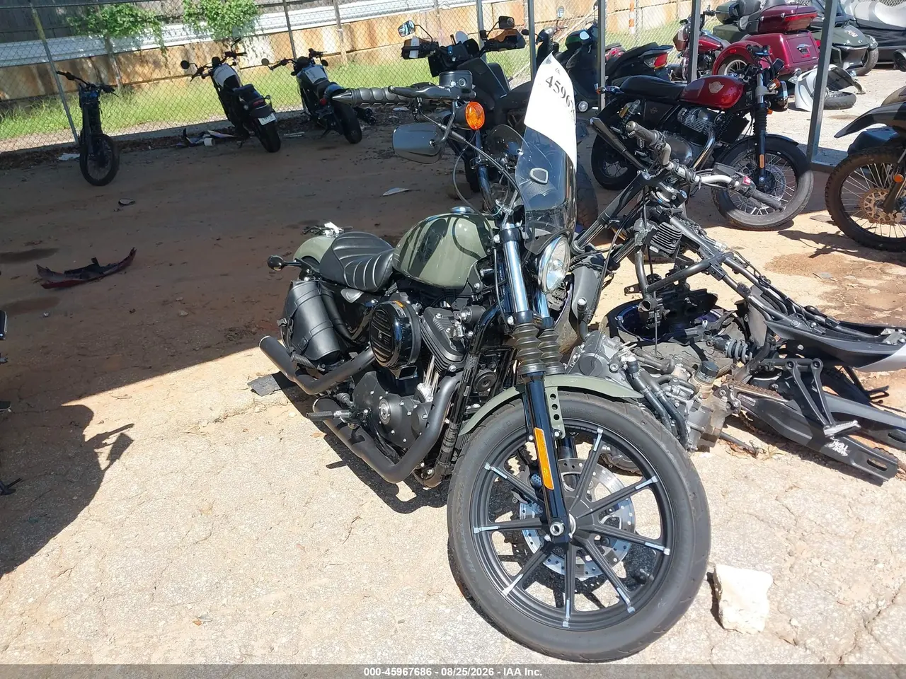 Harley-Davidson Xl883 N 2021