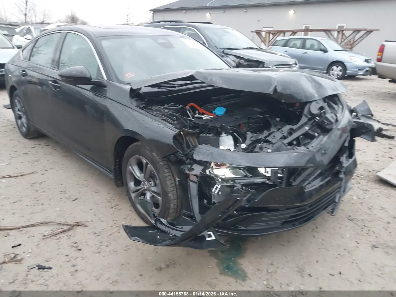 Honda Accord Hybrid Ex-L 2025