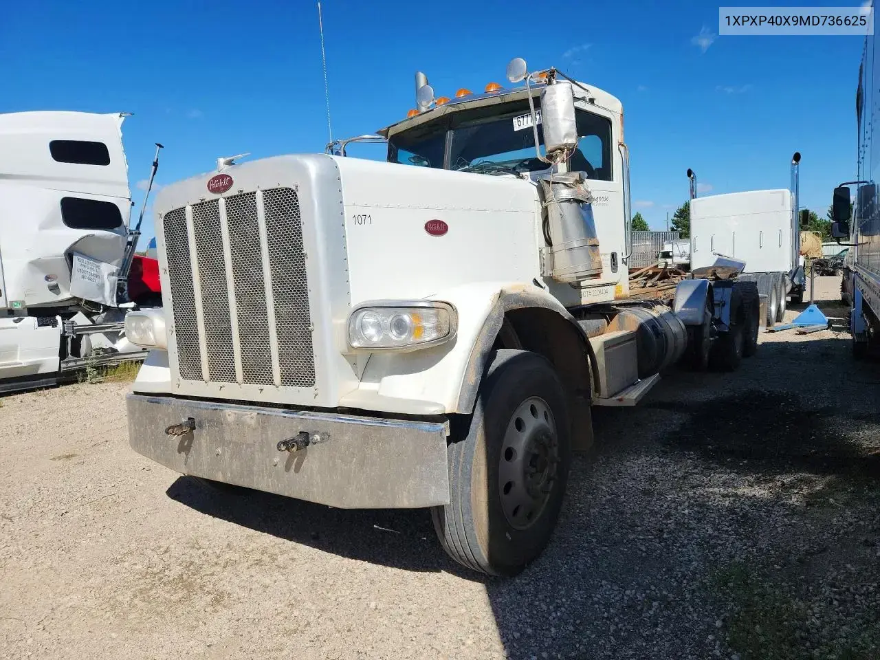 Peterbilt 389 2021