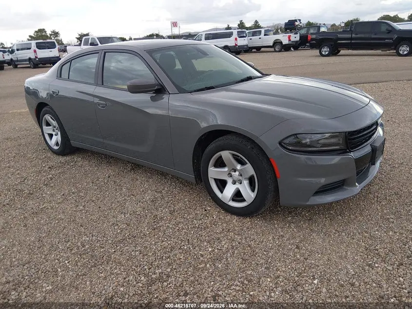 Dodge Charger Police Rwd 2019
