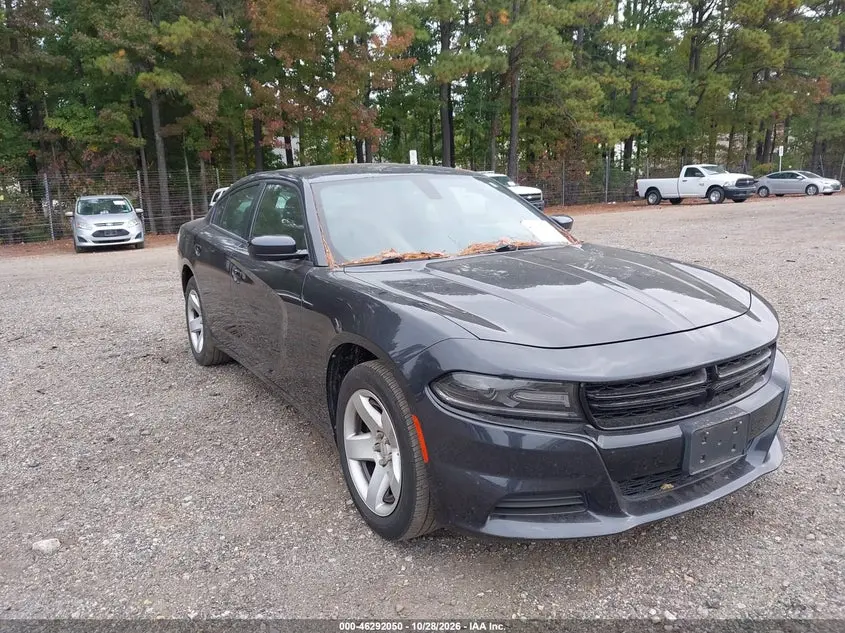 Dodge Charger Police Rwd 2019