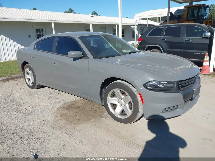 Dodge Charger Police Rwd 2019