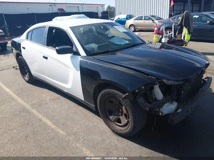 Dodge Charger Police Rwd 2019