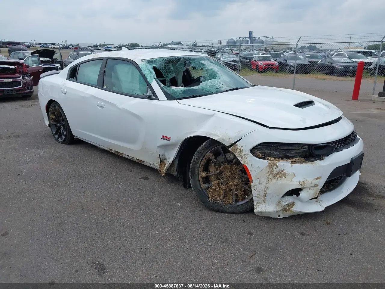 Dodge Charger Scat Pack Rwd 2020