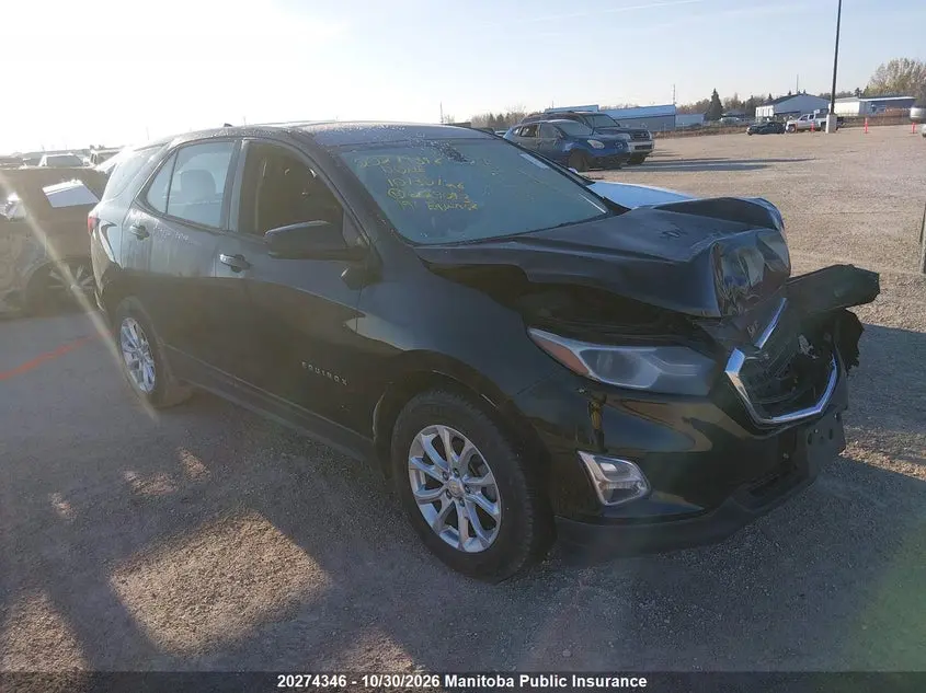 Chevrolet Equinox Ls 2019