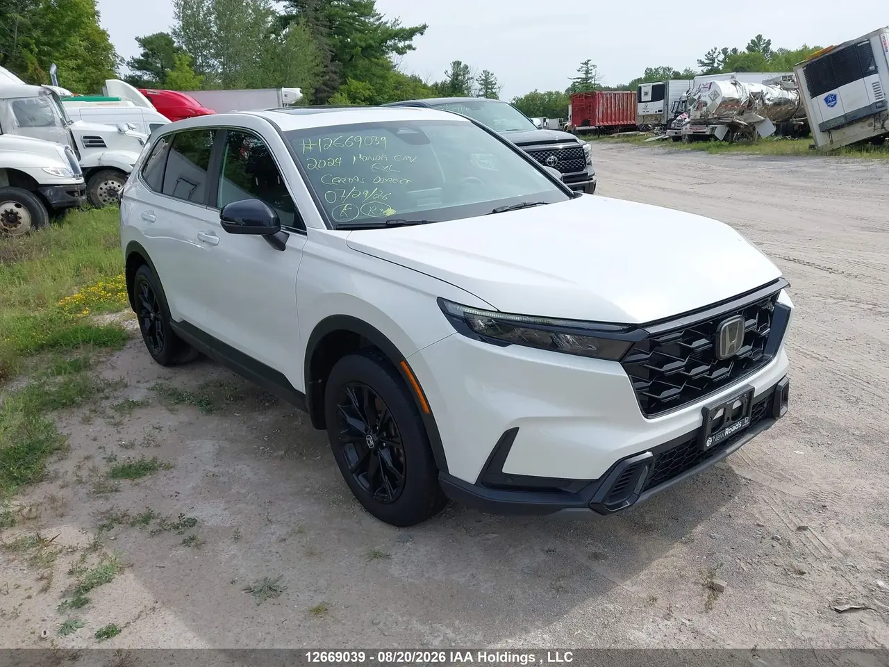 Honda Cr-V Hybrid Ex-L 2024