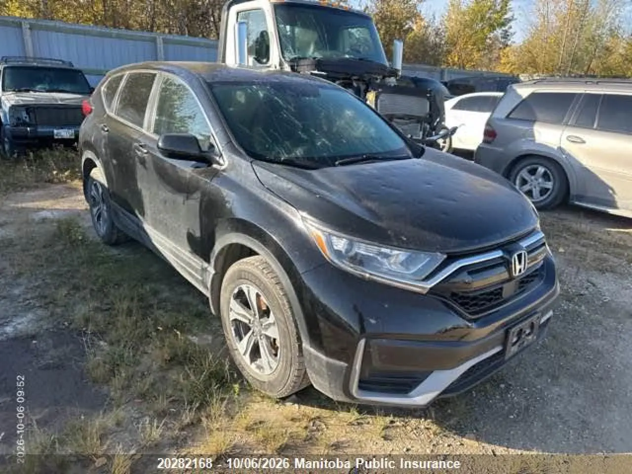 Honda Cr-V Lx 2022