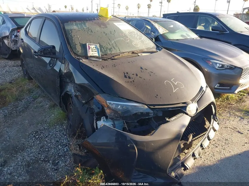 Toyota Corolla Le 2019