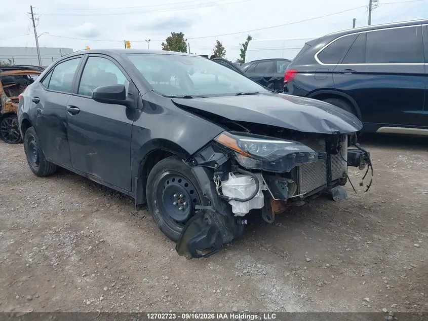Toyota Corolla Le 2019